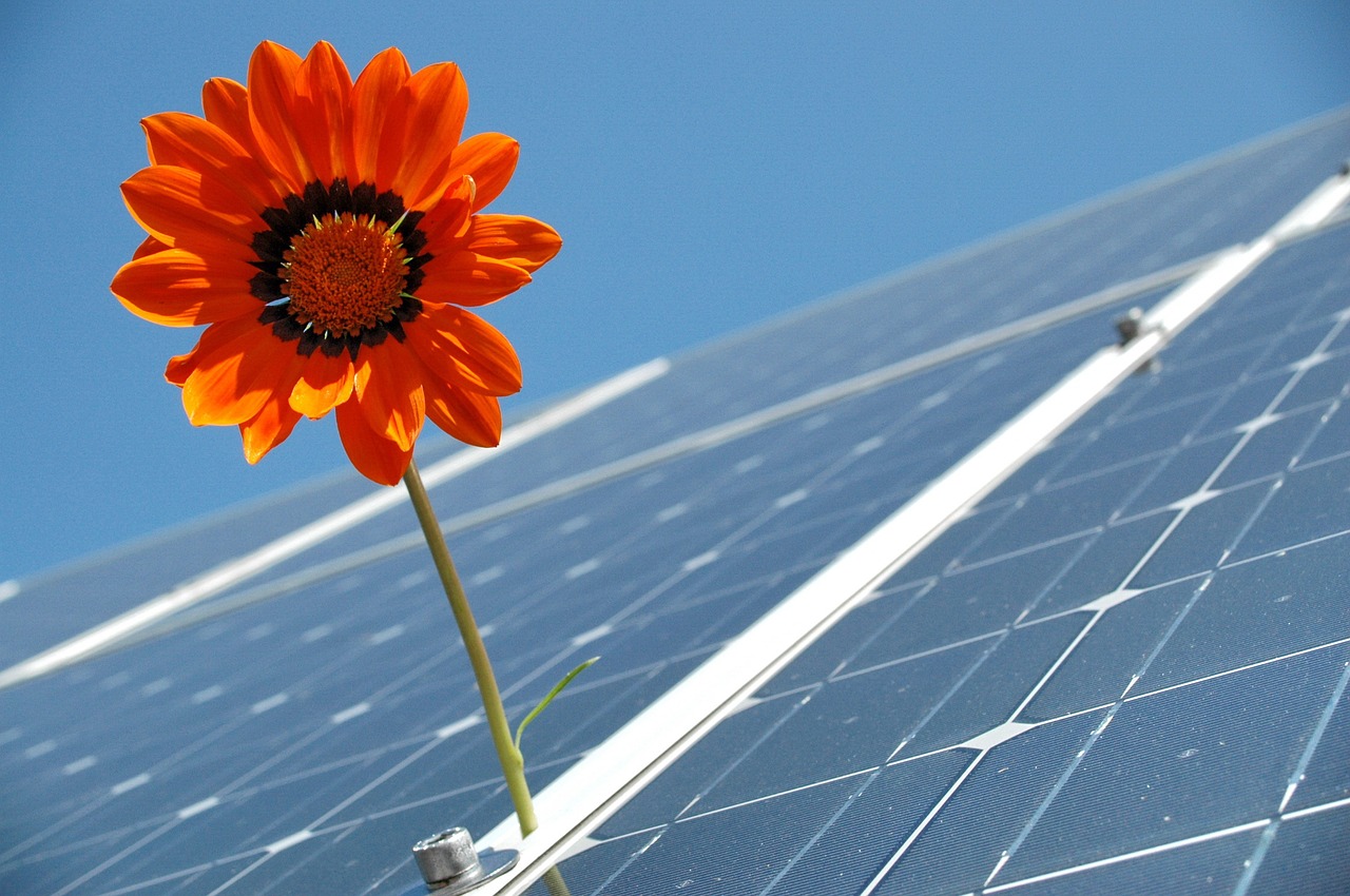 Sustentabilidade: conheça o sistema fotovoltaico, uma solução em energia limpa