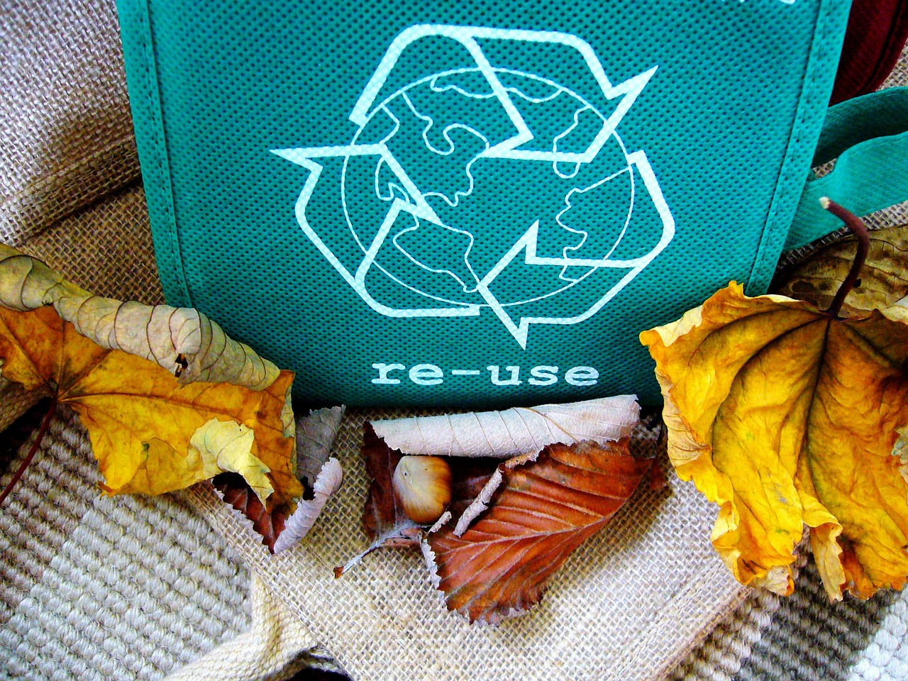 A importância da reciclagem para o planeta
