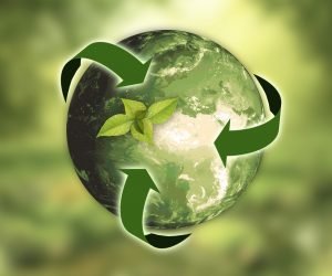 Meio ambiente: cuidados que as empresas devem ter