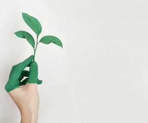 Desenvolvimento Sustentável: O que é?