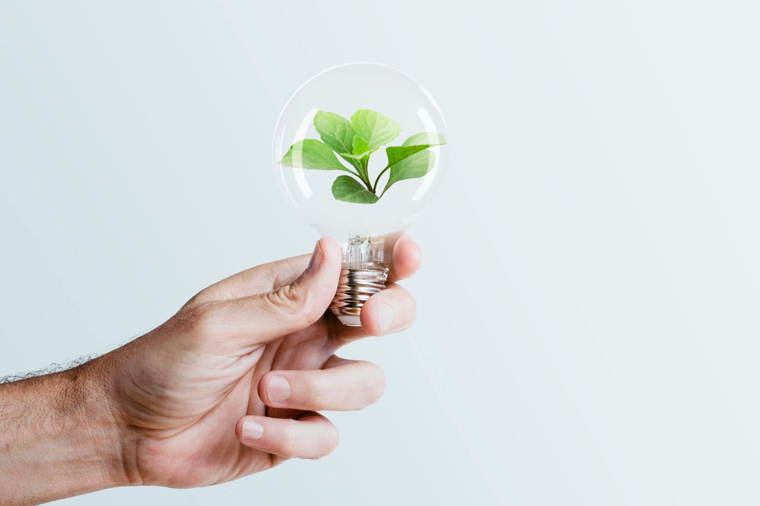 Insulfilm e eficiência energética: Reduzindo o consumo de energia com o uso adequado