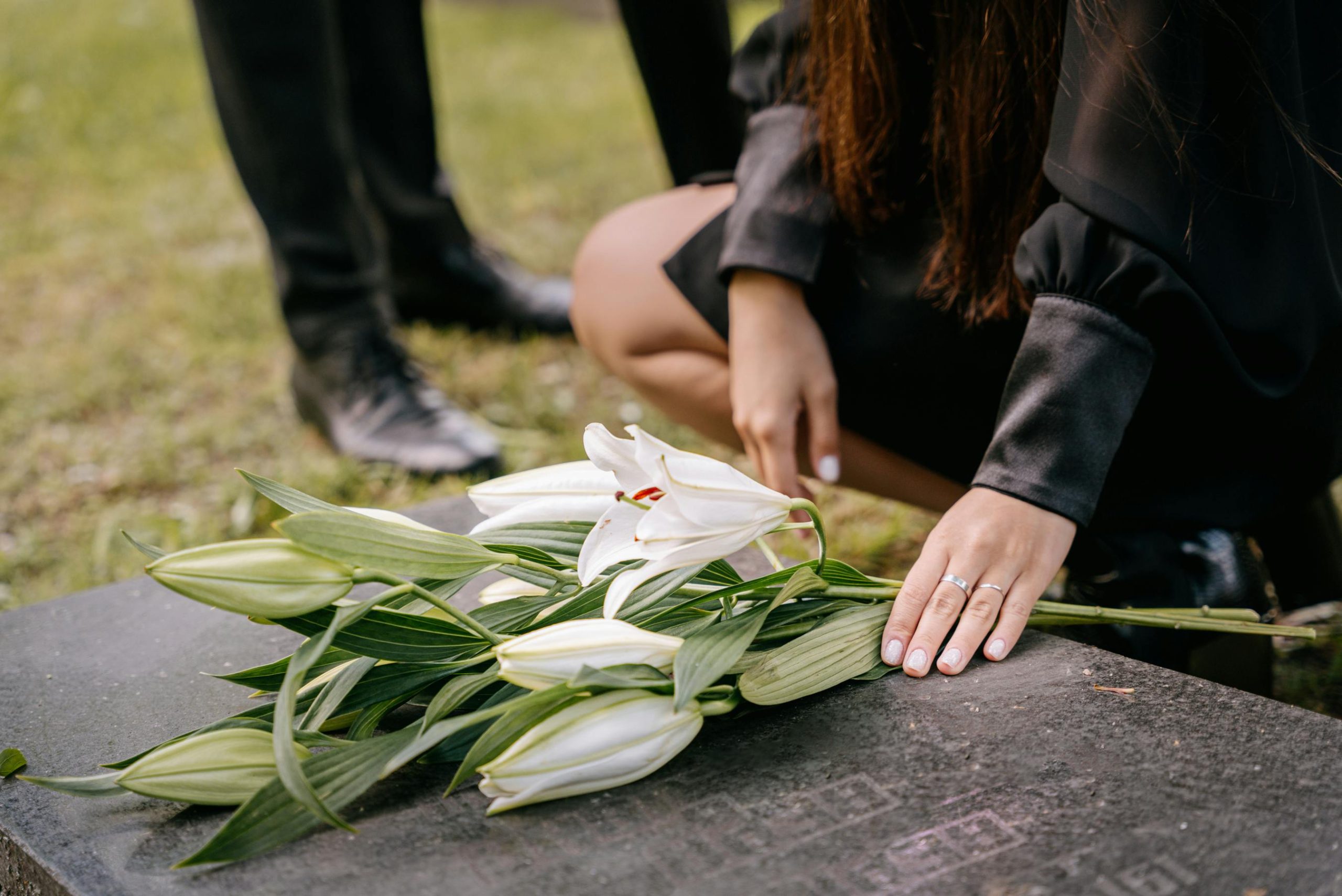 Seguro funeral e sustentabilidade: funerárias que fazem a diferença